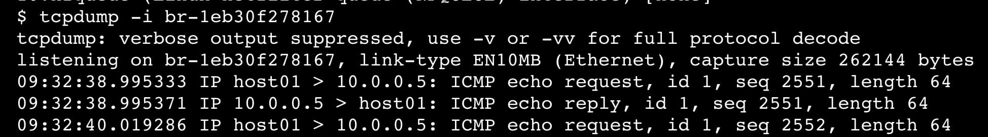 tcpdump On Interface